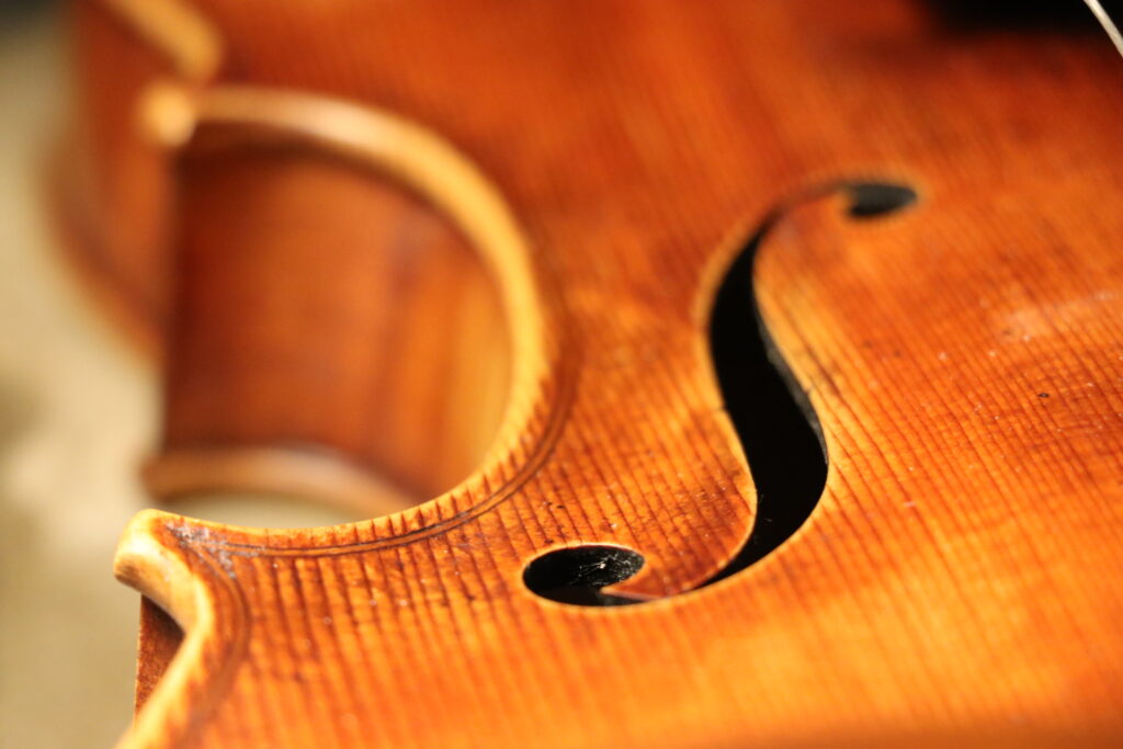 20221102195642_IMG_8338