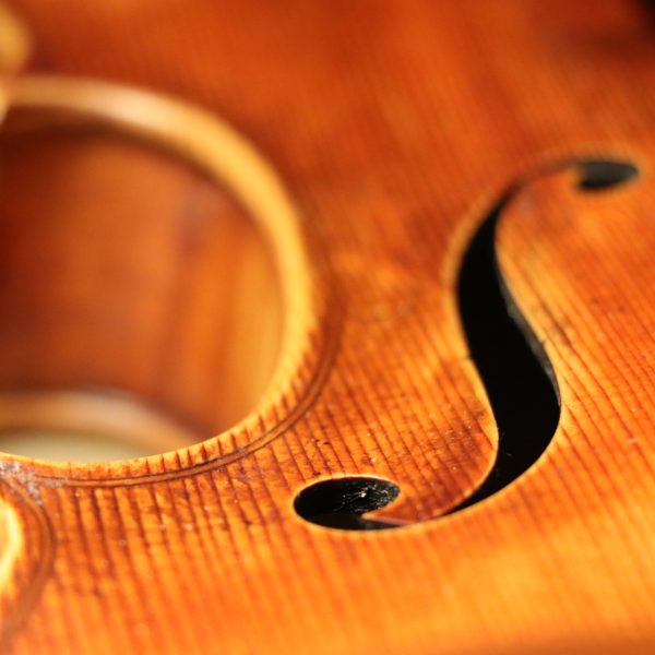 20221102195642_IMG_8338